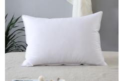 China Oeko Tex 50x70cm Duck Feather Pillows supplier