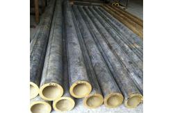 China C5210 Copper Coil Tubing 12mm OD ASTM Standard 1.5mm Thick supplier