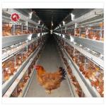 45x41x50 Cm Battery Layer Chicken Cage Hot Galvanized Silver Color for sale