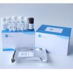Serum Plasma 96 Well HBeAb Reagent Elisa Test Kit Plate Human Use for sale