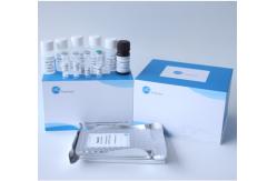 China Angiotensin I Converting Enzyme ACE Elisa Test Kit INVBIO supplier