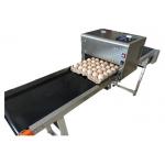 High tech carton coding machine eggs number inkjet printer with solvent For Egg Supplier for sale