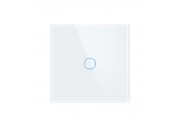 China 10A WiFi RF Smart 50hz Light Switch Remote Control For Alexa supplier