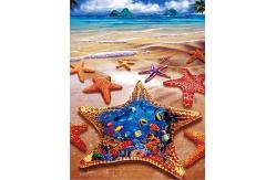China Sealifes Dolphin Turtle Shark Lenticular 3D Motion Card Souvenir Gift Card supplier