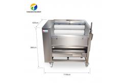 China Tengsheng 1200KG/H Potato Washing And Peeling Machine Carrot Melon Sand Roller supplier