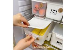 China Plastic Bulk Kitchen Supplies Fruit And Vegetable Containers For Fridge supplier
