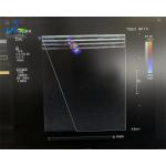  L12-3 Linear Array Ultrasound Transducer Probe Replace Strain Relief Crystal And Cable for sale