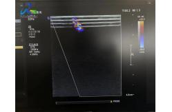 China  L12-3 Linear Array Ultrasound Transducer Probe Replace Strain Relief Crystal And Cable supplier