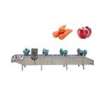 Automatic Fine Leaf Celery 500kg/h Cold Air Dry Fruit Machine for sale