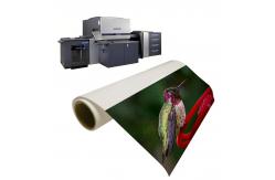China Press Printing Paper Luster Digital Brochures for Exceptional Results supplier