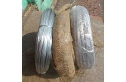 China BWG 20 21 22 GI Galvanized Binding Wire supplier