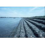 4x1x0.5m Hexagonal Wire Mesh Gabion Bank Protection Slope Protection Flood Control for sale