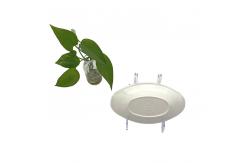 China Non Toxic Melamine Soup Plate Safety 7.5 Melamine Fish Plate Durable supplier