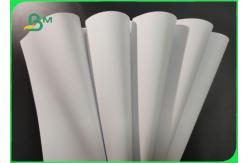 China FSC Approved 70g 80g White Woodfree Paper Roll For Brochure Smooth supplier