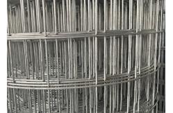 China 2'' Hot Dipped Galvanised Welded Wire Mesh With 120g/M2 Zinc Coating supplier
