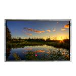 VVX31P153H01 31.0 inch WLED 350 cd/m2 LCD Display Screen Panel for sale