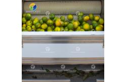 China Air Brush Cleansing Citrus Processing Line ,  Anti Abrasion Sullage Removal Potato Processing Line supplier