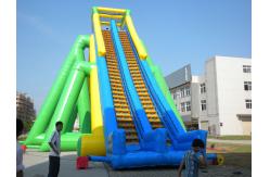 China Inflatable hippo slide giant outdoor slide supplier