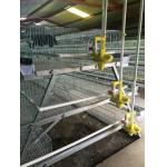 Poultry Farm Layer Chicken Cage 410x410mm A Type Egg Chicken Cage for sale
