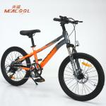 Childrens Lightweight Mountain Bikes 20in for sale