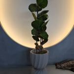 100cm Artificial Coccoloba Tree UV Resistant