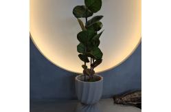 China 100cm Artificial Coccoloba Tree UV Resistant supplier