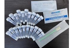 China Accuracy Reliability Covid-19 Oral Fluid Rapid Antigen Test Kit supplier