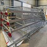 A Type Layer Manure Cage Hot Dip Galvanized Cage Broiler On Poultry Farm for sale