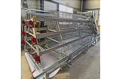 China Meat Broiler Chicken Cages With Automatic Poultry Feeding supplier