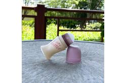China Plastic 75ml Refillable Roll On Bottle Empty Perfume Bottles Deodorant Roller Bottle supplier
