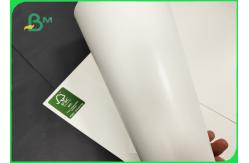 China 15 + 235 + 15g Waterproof PE Coated Paper In Jumbo Rolls 550mm / 600mm supplier