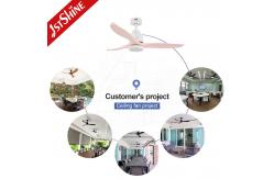 China 10- LED Ceiling Fan with Energy-Saving Lighting and Lighting Solutions Service supplier
