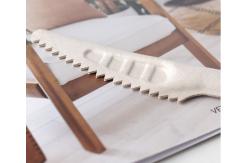 China Eco Friendly Compostable Cutlery Plant Based Sugarcane Bagasse Pulp Knife supplier