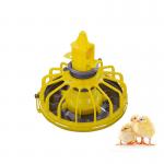Fully Automatic poultry farm chicken feeder system chicken house shed equipment for sale