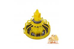 China Fully Automatic poultry farm chicken feeder system chicken house shed equipment supplier