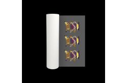 China 60cm 33cm 30cm Width Heat Transfer PET Film For DTF Printing supplier