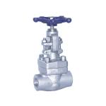 API 602 BS5352 ASME B16.34 Metal Seated Forged Gate Valve