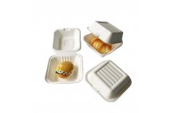 China Eco-friendly customized fast food burger box with biodegradable clam shell supplier