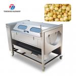 Brush Potato Washing And Peeling Machine SS Commercial Vegetable Sealing Cover Type for sale