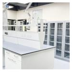 Adjustable Height Lab Bench Table , Anti Alkali Hospital Laboratory Furniture for sale
