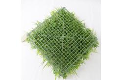 China Landscaping Outdoor PE PP Artificial Green Walls Grass supplier