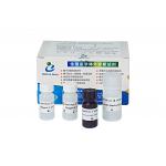 Sperm DNA Fragment Assay Kit (Acridine Orange SCSA Method) for sale
