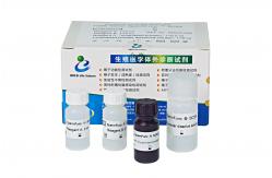 China Sperm DNA Fragment Assay Kit (Acridine Orange SCSA Method) supplier