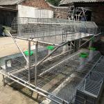 China 2 Layer Commercial Rabbit Farming Cages Automatic Drinking And Cleaning manufacturer
