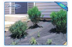 China 3%UV Garden Weed Control Fabric , Polypropylene Agriculture Non Woven Cover supplier