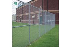 China Community Garden Chain Link Fence Plots supplier