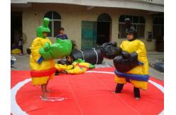 China Pvc Tarpaulin Inflatable Sumo Costume , Inflatable Amusement Park supplier