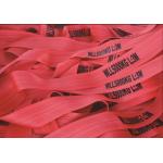 WLL 5T 150mm Red Polyester Cargo Webbing EN1492-1 High Breaking Strength for sale