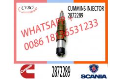 China Diesel Fuel Injector 2872544 2872289 4955080 4326959 2897320  Fuel Injector supplier
