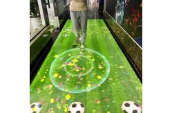 China New Popular Ir Camera Motion Capture Interactive Ground Projector System supplier